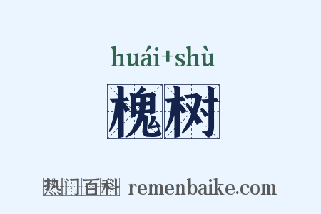 槐树是什么意思的图片